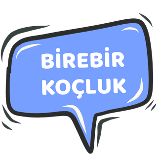 Birebir Koçluk