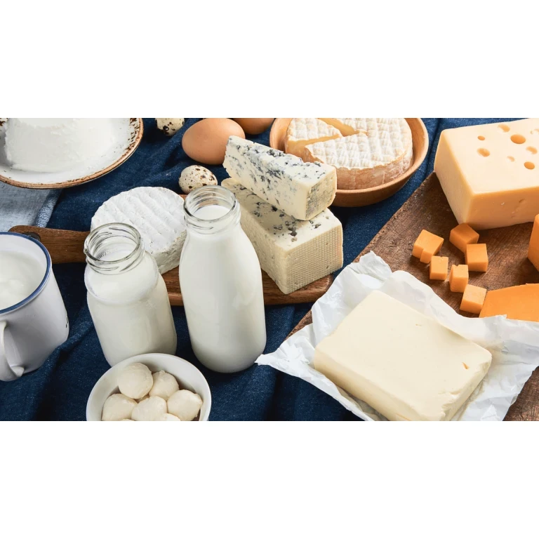 TYT İle Alan Bölümler – Süt ve Ürünleri Teknolojisi Bölümü